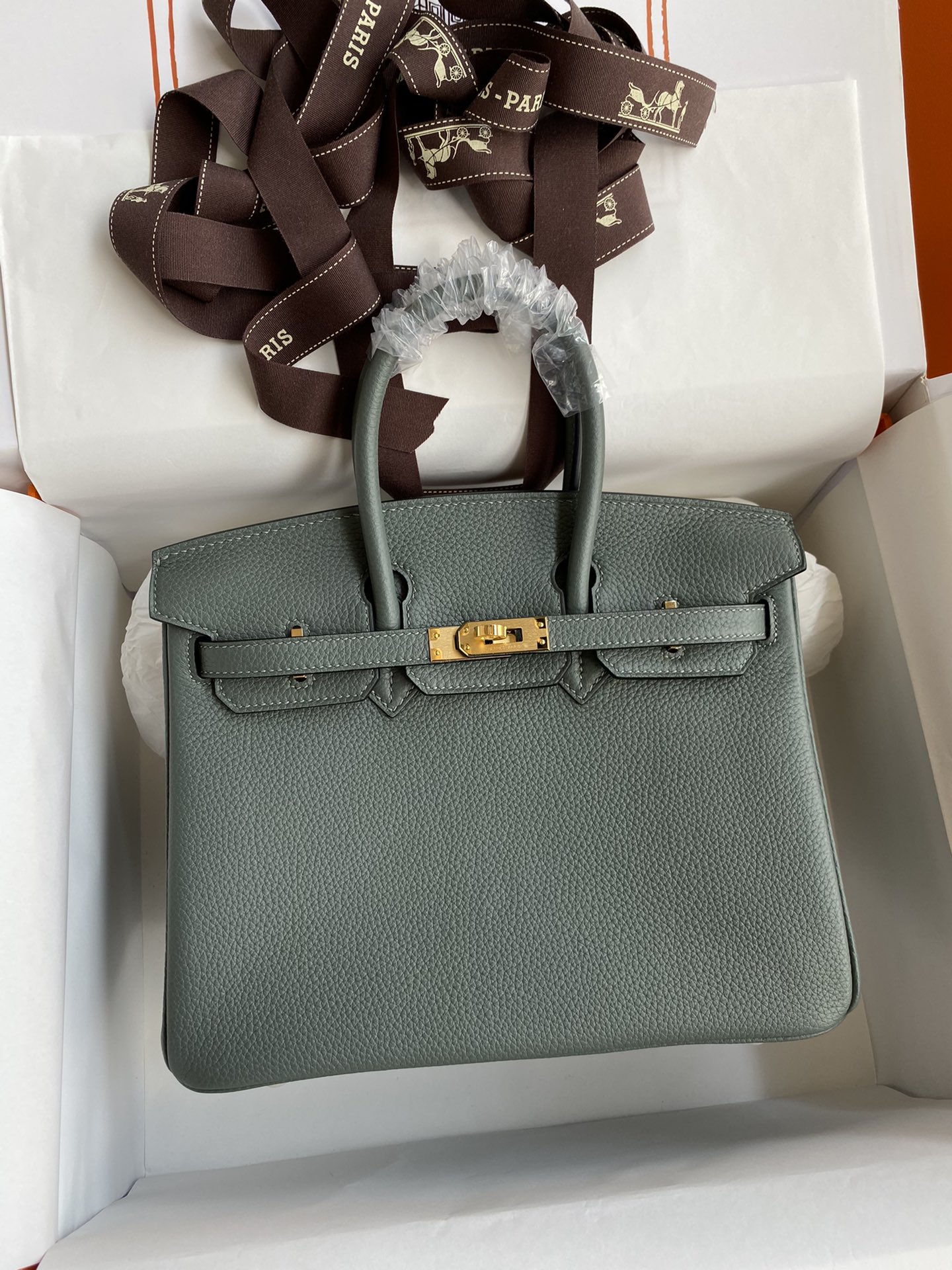 Hermes Birkin 25CM Togo Leather Handbag Vert Rousseau